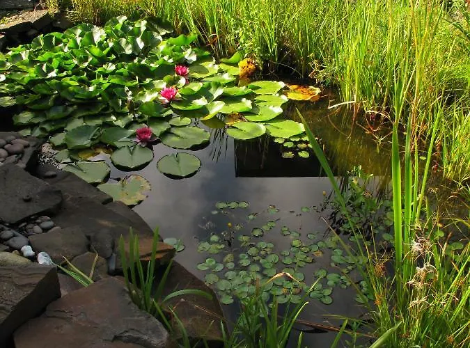 Komfortwohnung City/messe 25 Min 別荘 *