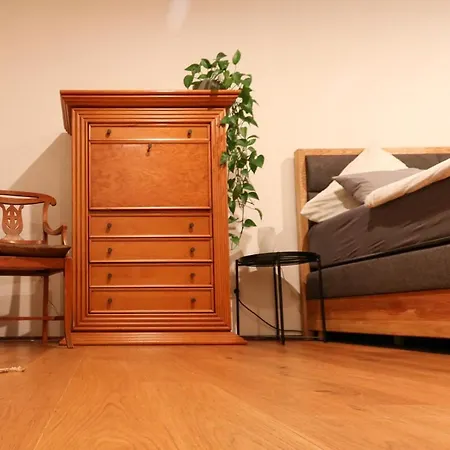 Ferienhaus Komfortwohnung City/messe 25 Min *