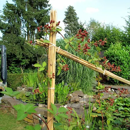 Komfortwohnung City/messe 25 Min Feriehus