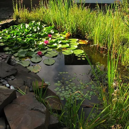 Komfortwohnung City/messe 25 Min Semesterbostad *